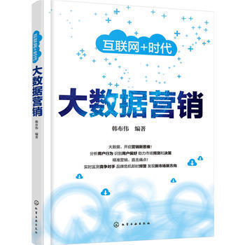 大數(shù)據(jù)營(yíng)銷 數(shù)字時(shí)代的精準(zhǔn)銷售與戰(zhàn)略布局